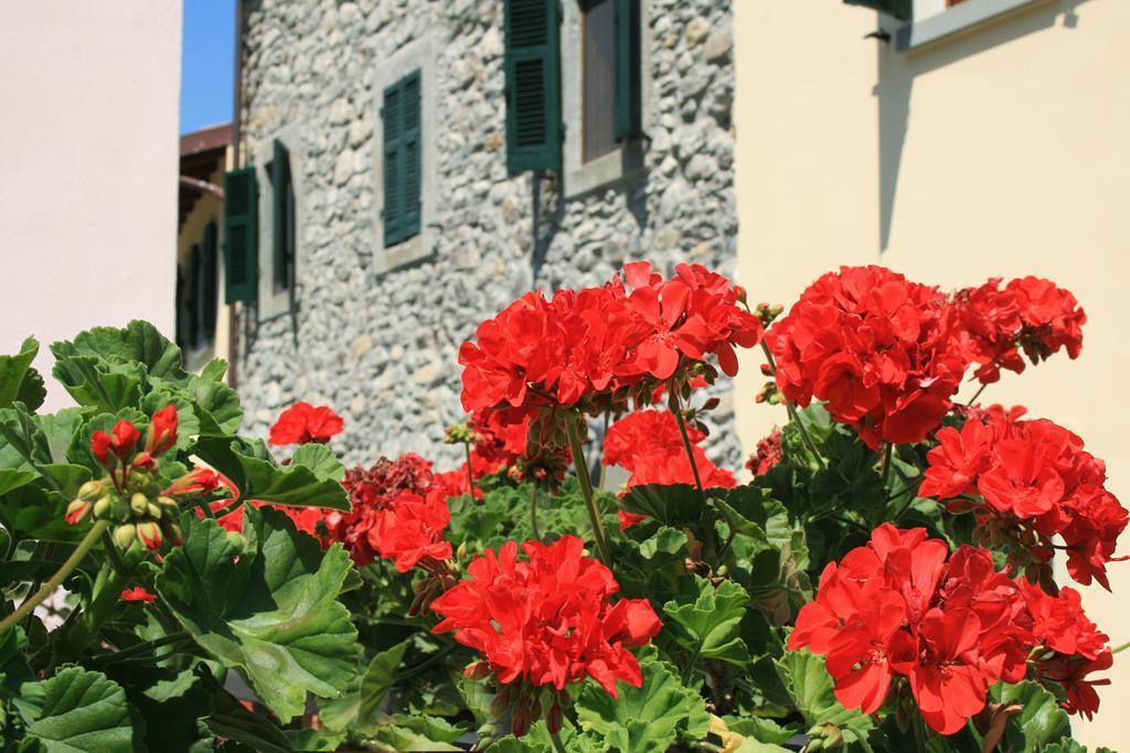 Ponte Del Vegnuti Guest House Fivizzano Eksteriør bilde